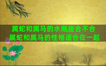 属蛇和属马的水瓶座合不合 属蛇和属马的性格适合在一起